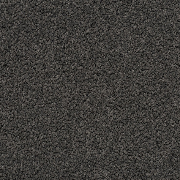 Slate Carpet & Matland